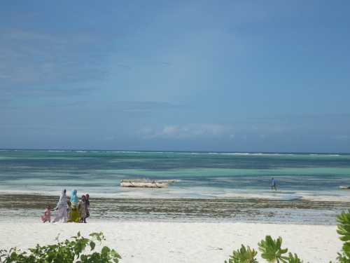 Zanzibar-Tanzania-Africa-holiday
